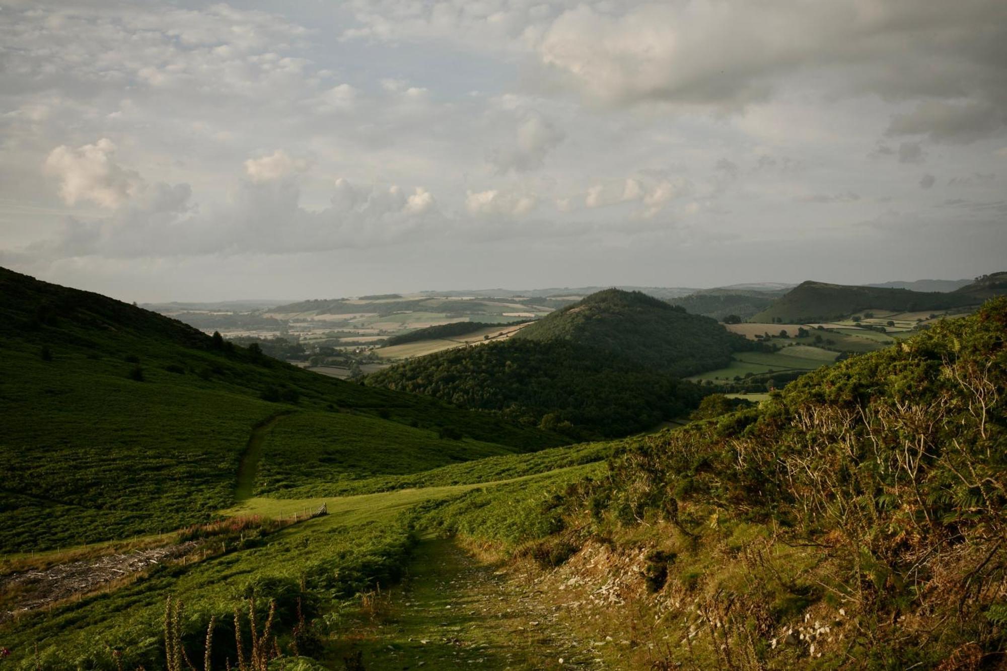 Two Unique Cabins Wrapped In Beautiful Welsh Scenery Presteigne Ngoại thất bức ảnh